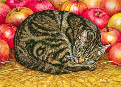 Linkshändiger Apfel-Katze, 1995 von Ditz