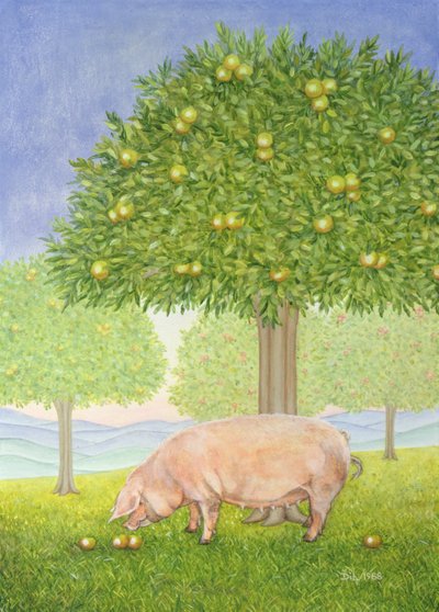 Linke Hand Obstgarten Schwein von Ditz