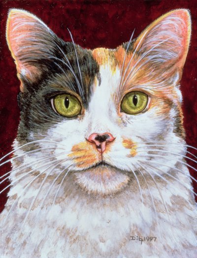 Ringelblume, 1997 von Ditz