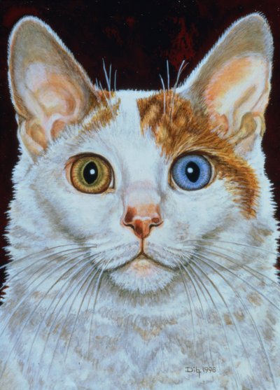 Minette, 1996 von Ditz