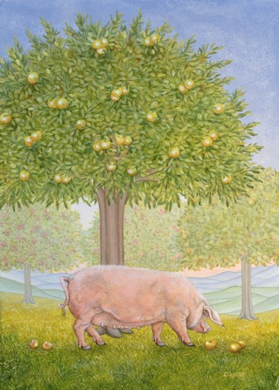 Rechte Hand Obstgarten Schwein von Ditz