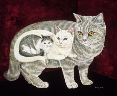 Russische Katze von Ditz