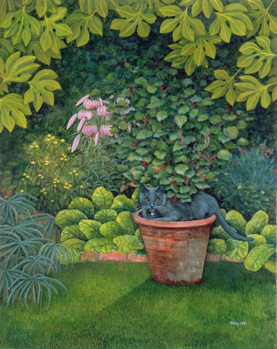 Die Blumentopfkatze von Ditz