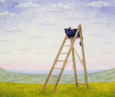 Die Leiterkatze von Ditz