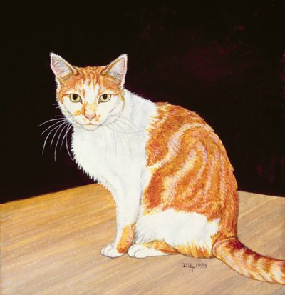 Thomas von Ditz