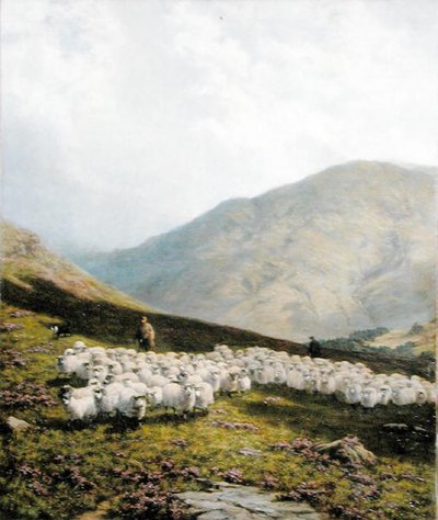 Hirte und Schafe, Perthshire von Dixon Clark