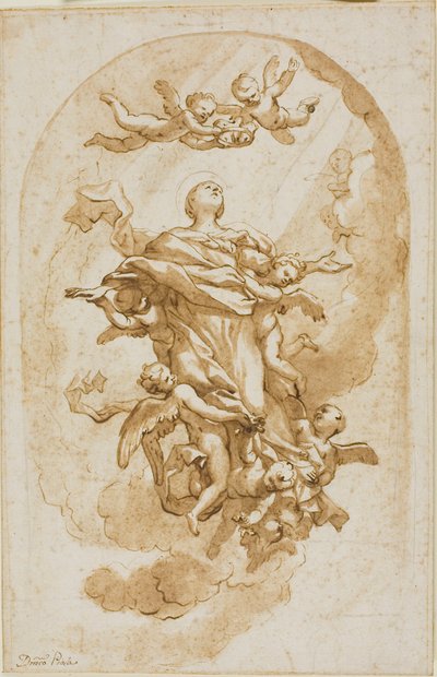 Mariä Himmelfahrt von Domenico Piola