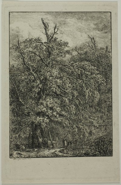 Großer Baum von Domenico Quaglio