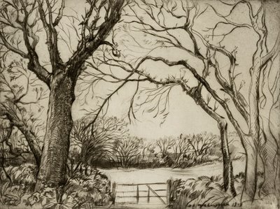 Tragenna Wald von Donald Shaw MacLaughlan