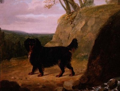 Ein Cocker Spaniel in der Landschaft von E.W. Gill