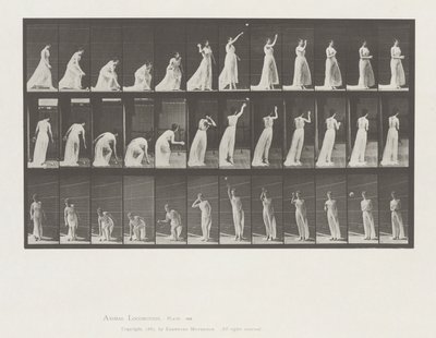 Tierbewegung, Platte 305 von Eadweard Muybridge