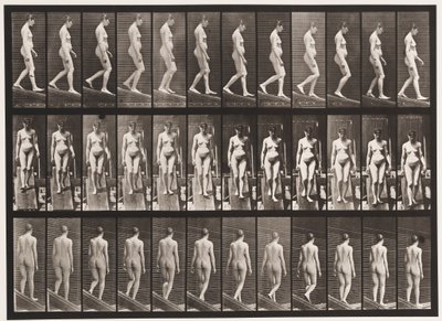 Tafel 117. Abstieg von Eadweard Muybridge