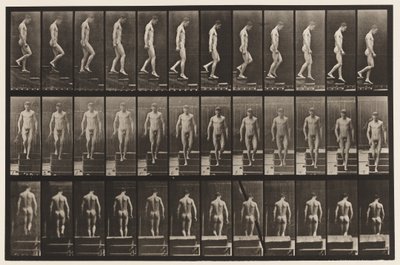 Tafel 125. Treppenabstieg von Eadweard Muybridge