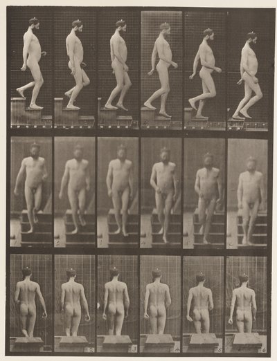 Tafel 127. Treppen hinuntersteigen, 1872-1885 von Eadweard Muybridge