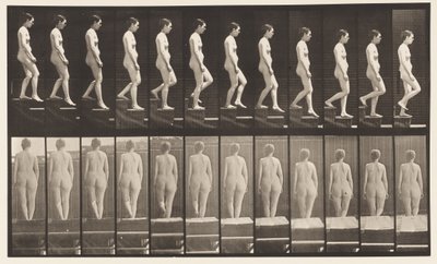 Tafel 129. Treppen hinabsteigen, Hände gefaltet von Eadweard Muybridge