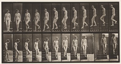 Tafel 137. Treppe hinuntergehen, sich umdrehen von Eadweard Muybridge