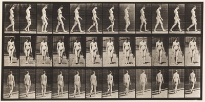 Tafel 13. Gehen, 1872-1885 von Eadweard Muybridge