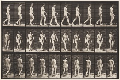 Tafel 16. Gehen von Eadweard Muybridge