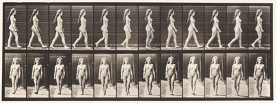 Tafel 17. Gehen, 1872-1885 von Eadweard Muybridge