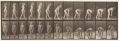 Tafel 204. Anhalten, um einen Ball aufzuheben von Eadweard Muybridge