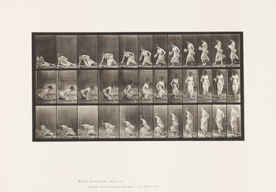 Tafel 248. Sich auf den Boden setzen von Eadweard Muybridge
