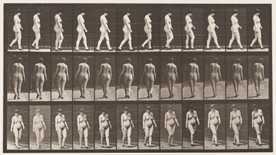 Tafel 24. Gehen, mit hochhackigen Schuhen von Eadweard Muybridge