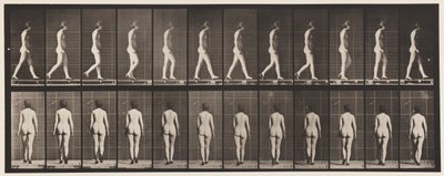 Tafel 25. Gehen, mit hochhackigen Schuhen von Eadweard Muybridge