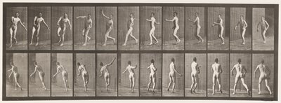 Tafel 290. Cricket; Überarm-Bowling von Eadweard Muybridge