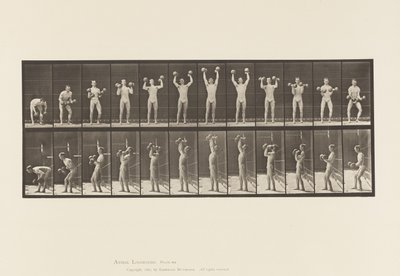 Tafel 322. Mann, der Hanteln hebt von Eadweard Muybridge