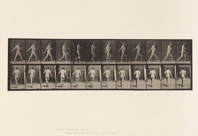 Tafel 389. Bauer, der Samen streut, 1872-1885 von Eadweard Muybridge