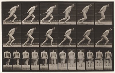 Tafel 392. Einen Gartenroller ziehen, 1872-1885 von Eadweard Muybridge