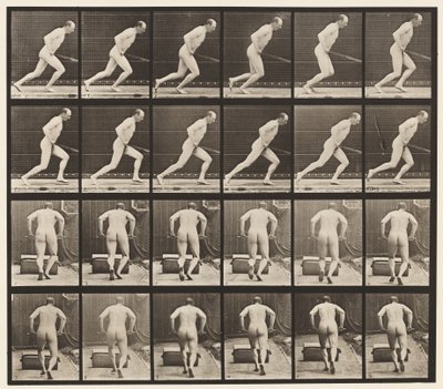 Tafel 393. Einen Gartenroller schieben von Eadweard Muybridge