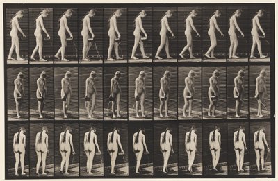 Tafel 42. Gehen, Wasser aus einem Krug gießen von Eadweard Muybridge