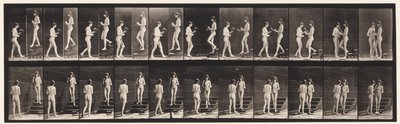 Tafel 448. Zwei Modelle von Eadweard Muybridge