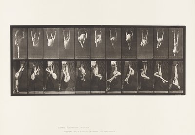 Tafel 512. Verrenkungen an Ringen von Eadweard Muybridge