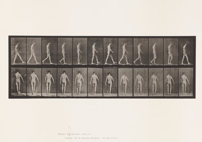 Tafel 546. Lokomotorische Ataxie; Gehen, 1885 von Eadweard Muybridge