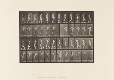 Tafel 548. Lateralsklerose; A, B, Gehen, 1885 von Eadweard Muybridge