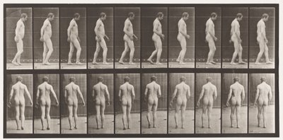 Nach Kopftrauma; Gehen von Eadweard Muybridge