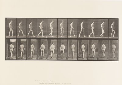 Lokomotorische Ataxie; Gehen von Eadweard Muybridge