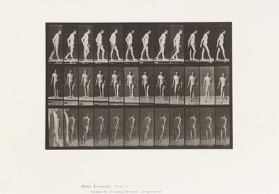 Tafel 559. Verbreitete Sklerose; Gehen mit Stock von Eadweard Muybridge