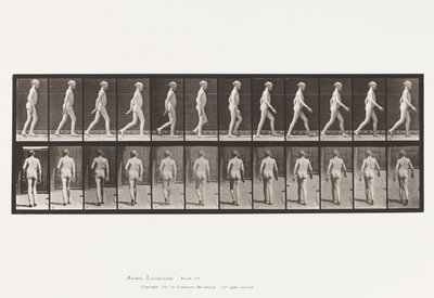 Platte 562. Seitliche Krümmung der Wirbelsäule; Gehen von Eadweard Muybridge