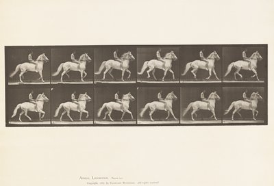 Tafel 590. Schlendern von Eadweard Muybridge