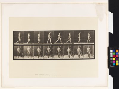 Tafel 5. Gehen von Eadweard Muybridge