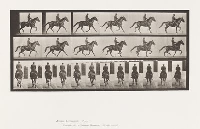 Tafel 601. Trabend; Sattel; Braune Stute Beauty von Eadweard Muybridge