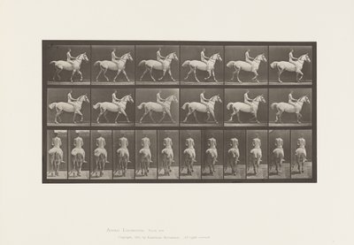 Tafel 602. Traben; Ohne Sattel; Reiter, 43, nackt; Hellgraues Pferd Smith, 1885 von Eadweard Muybridge