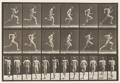 Tafel 62. Laufen mit voller Geschwindigkeit von Eadweard Muybridge