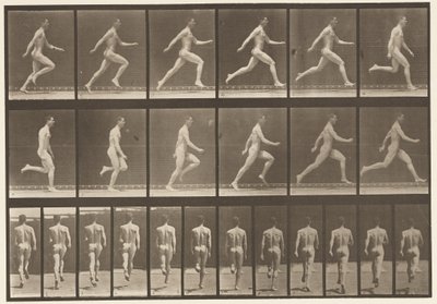 Tafel 64. Laufen in voller Geschwindigkeit von Eadweard Muybridge