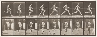 Tafel 65. Laufen mit voller Geschwindigkeit, 1872-1885 von Eadweard Muybridge