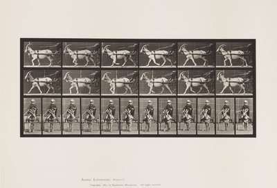 Tafel 678. Ziege; Trabend, im Sulky von Eadweard Muybridge