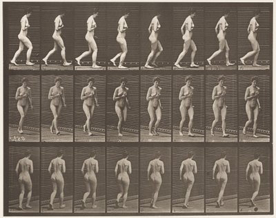 Tafel 70. Laufen, 1872-1885 von Eadweard Muybridge